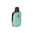 Ceramic Coil Dual Flavor Disposable Vape Pod Type C Charging ISO approved